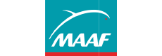 Assurance Maaf